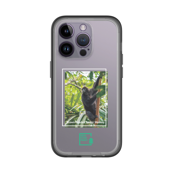 Slim Protection Premium Case［ Green Future Project - Brown-headed Spider Monkey ］