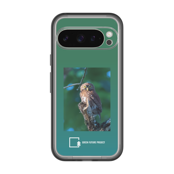 Slim Protection Premium Case［ Green Future Project - Ferruginous Pygmy Owl ］