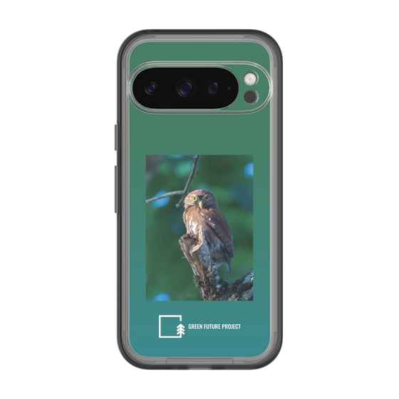 Slim Protection Premium Case［ Green Future Project - Ferruginous Pygmy Owl ］