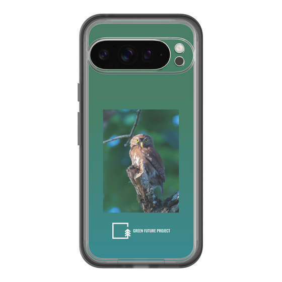 Slim Protection Premium Case［ Green Future Project - Ferruginous Pygmy Owl ］