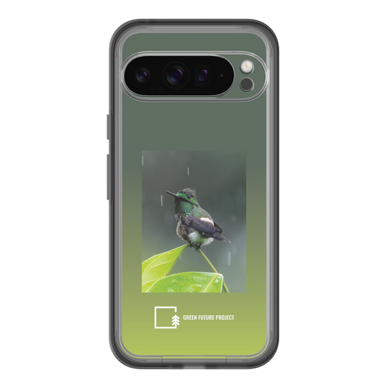 Slim Protection Premium Case［ Green Future Project - Butterfly Coquette ］