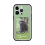 Slim Protection Premium Case［ Green Future Project - Black-mantled Tamarin ］