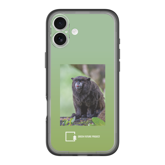Slim Protection Premium Case［ Green Future Project - Black-mantled Tamarin ］