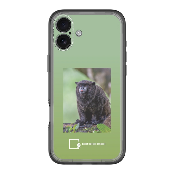 Slim Protection Premium Case［ Green Future Project - Black-mantled Tamarin ］