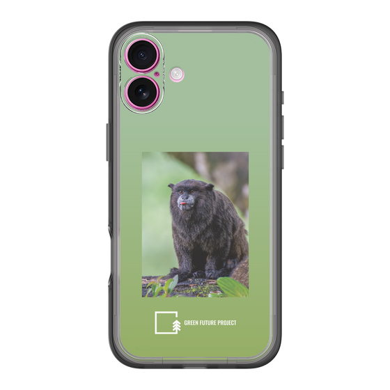 Slim Protection Premium Case［ Green Future Project - Black-mantled Tamarin ］