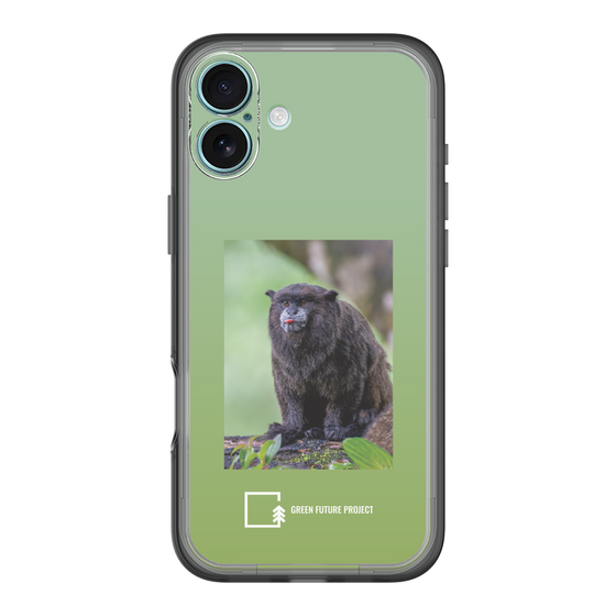Slim Protection Premium Case［ Green Future Project - Black-mantled Tamarin ］