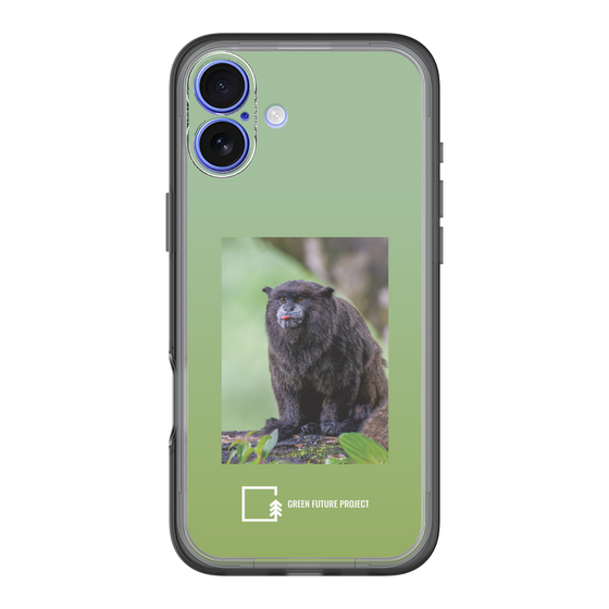 Slim Protection Premium Case［ Green Future Project - Black-mantled Tamarin ］