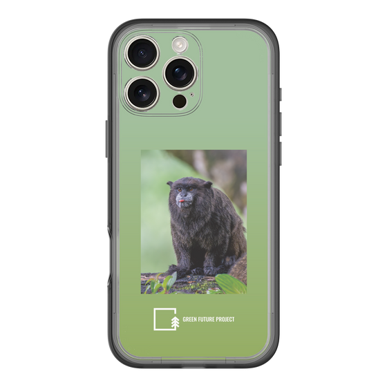 Slim Protection Premium Case［ Green Future Project - Black-mantled Tamarin ］