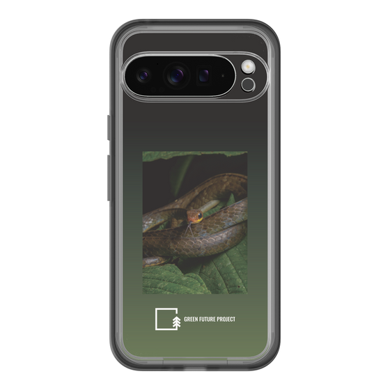 Slim Protection Premium Case［ Green Future Project - Chironius ］