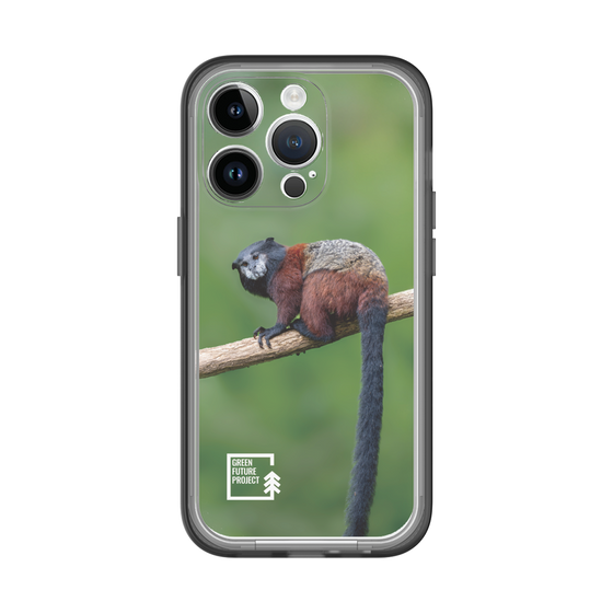 Slim Protection Premium Case［ Green Future Project - Saddle-backTamarin ］
