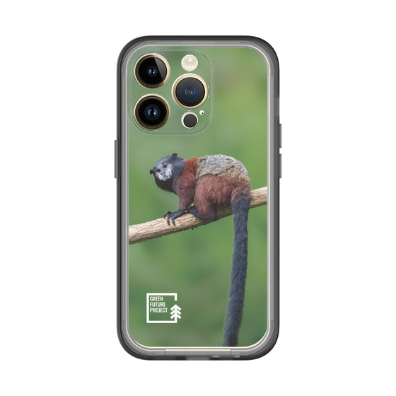 Slim Protection Premium Case［ Green Future Project - Saddle-backTamarin ］