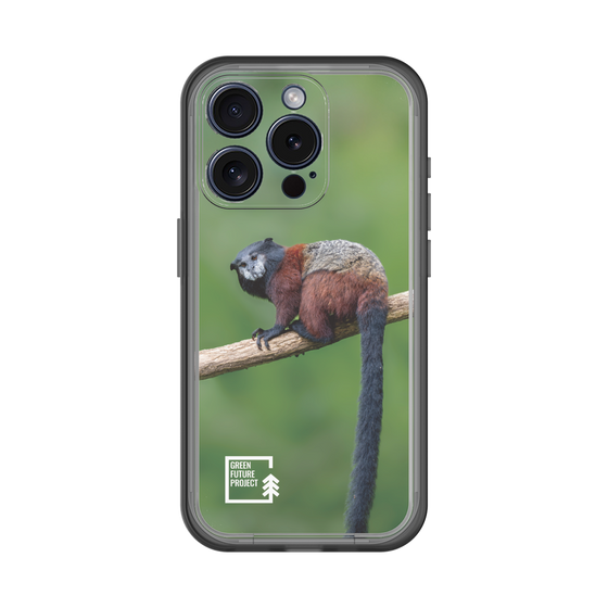 Slim Protection Premium Case［ Green Future Project - Saddle-backTamarin ］