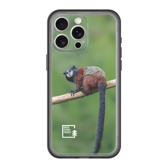 Slim Protection Premium Case［ Green Future Project - Saddle-backTamarin ］