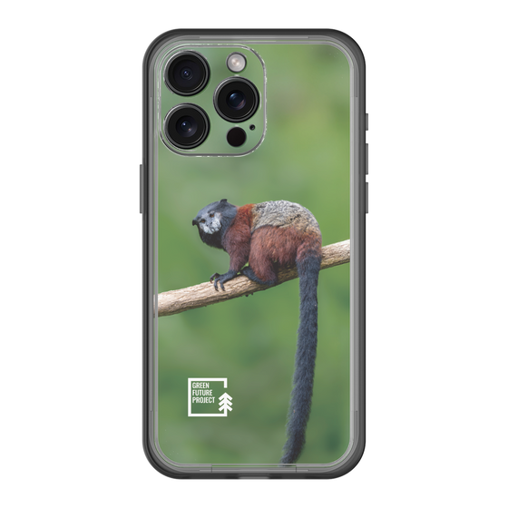 Slim Protection Premium Case［ Green Future Project - Saddle-backTamarin ］