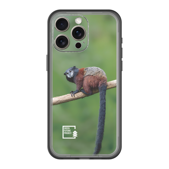 Slim Protection Premium Case［ Green Future Project - Saddle-backTamarin ］