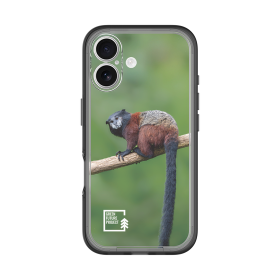 Slim Protection Premium Case［ Green Future Project - Saddle-backTamarin ］