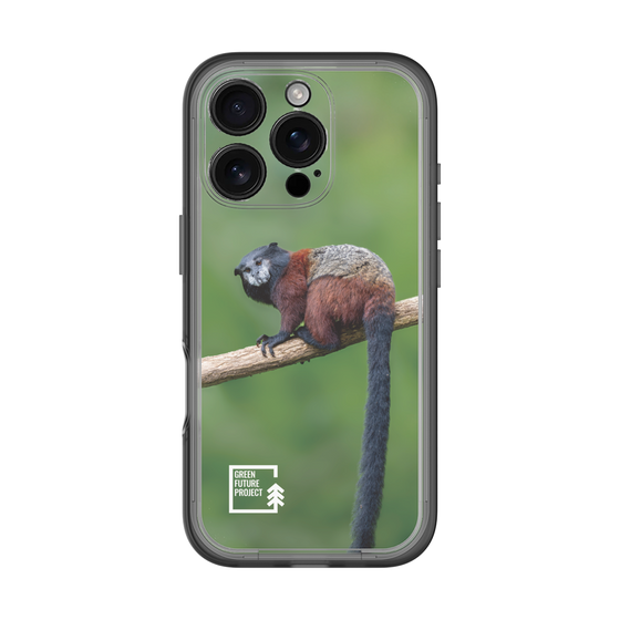 Slim Protection Premium Case［ Green Future Project - Saddle-backTamarin ］
