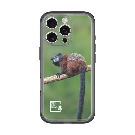 Slim Protection Premium Case［ Green Future Project - Saddle-backTamarin ］