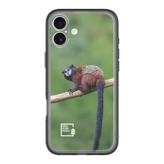 Slim Protection Premium Case［ Green Future Project - Saddle-backTamarin ］
