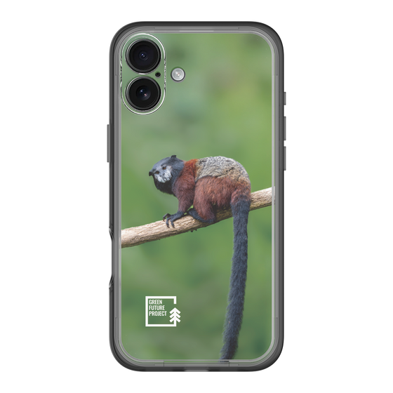 Slim Protection Premium Case［ Green Future Project - Saddle-backTamarin ］