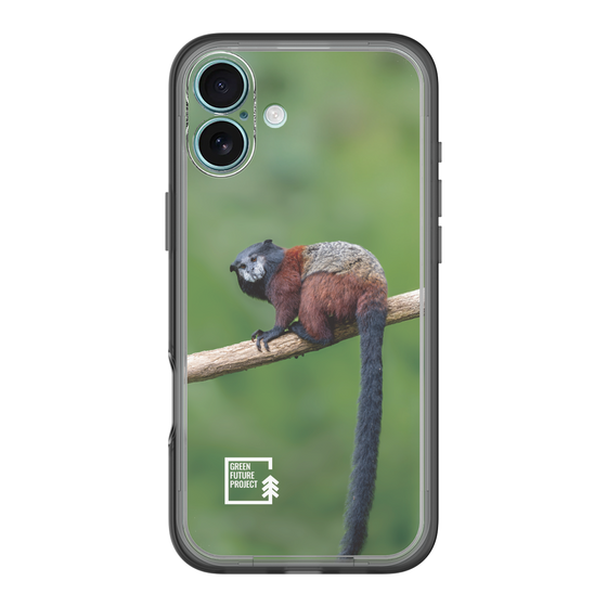 Slim Protection Premium Case［ Green Future Project - Saddle-backTamarin ］