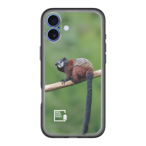 Slim Protection Premium Case［ Green Future Project - Saddle-backTamarin ］