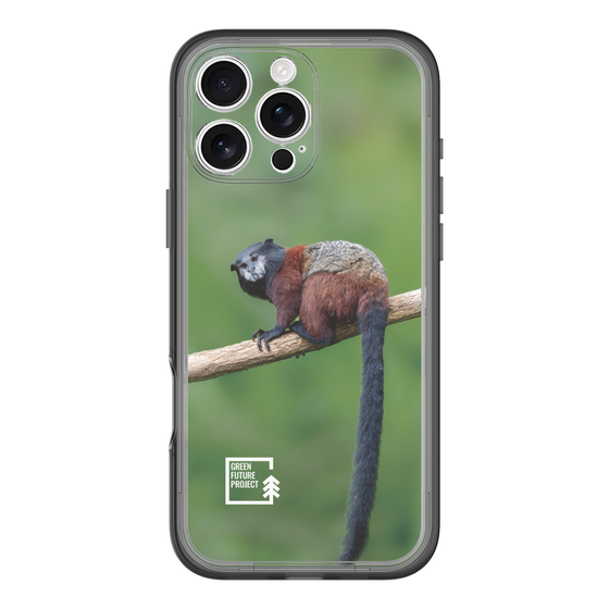 Slim Protection Premium Case［ Green Future Project - Saddle-backTamarin ］