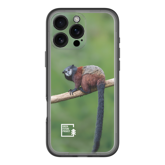 Slim Protection Premium Case［ Green Future Project - Saddle-backTamarin ］