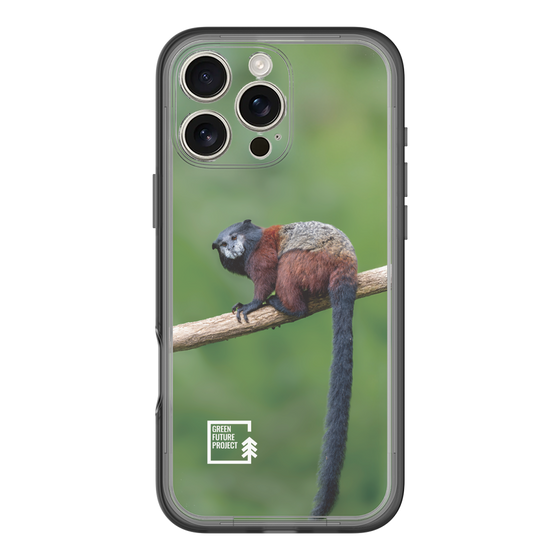 Slim Protection Premium Case［ Green Future Project - Saddle-backTamarin ］