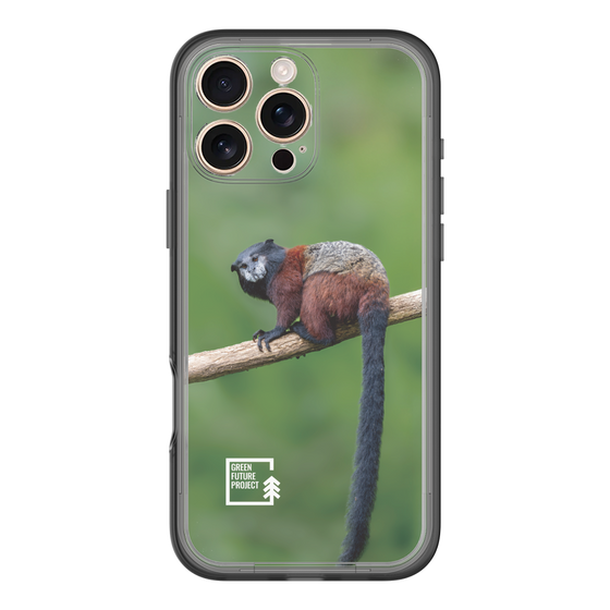 Slim Protection Premium Case［ Green Future Project - Saddle-backTamarin ］