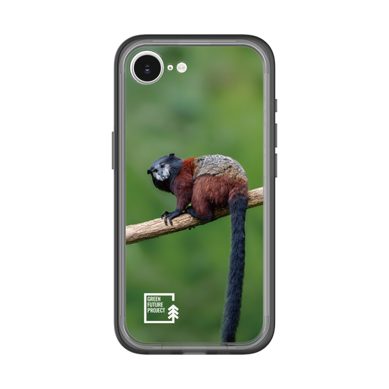Slim Protection Premium Case［ Green Future Project - Saddle-backTamarin ］