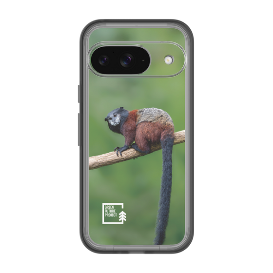Slim Protection Premium Case［ Green Future Project - Saddle-backTamarin ］