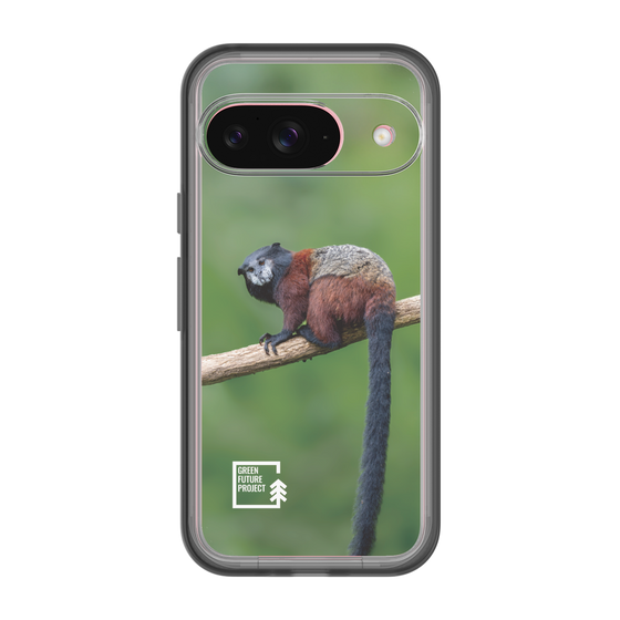 Slim Protection Premium Case［ Green Future Project - Saddle-backTamarin ］