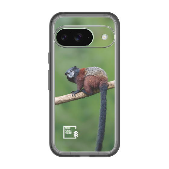Slim Protection Premium Case［ Green Future Project - Saddle-backTamarin ］