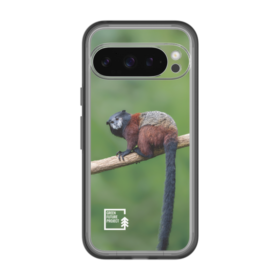 Slim Protection Premium Case［ Green Future Project - Saddle-backTamarin ］