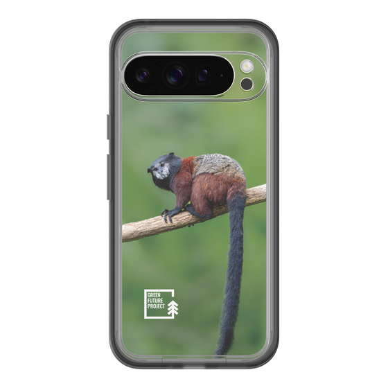 Slim Protection Premium Case［ Green Future Project - Saddle-backTamarin ］