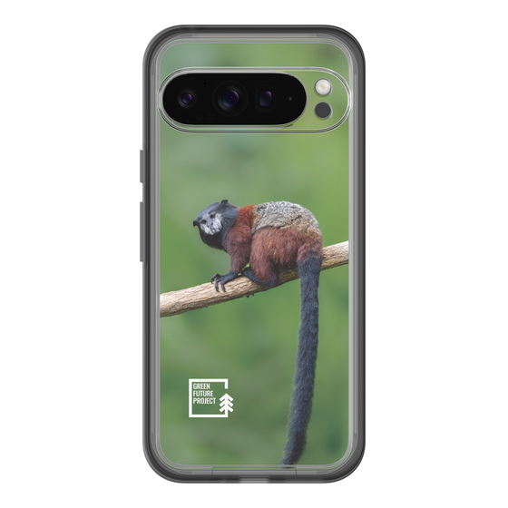 Slim Protection Premium Case［ Green Future Project - Saddle-backTamarin ］