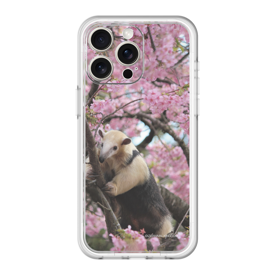 Slim Protection Premium Case［ The Izu Animal Kingdom - Anteater ］