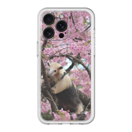 Slim Protection Premium Case［ The Izu Animal Kingdom - Anteater ］