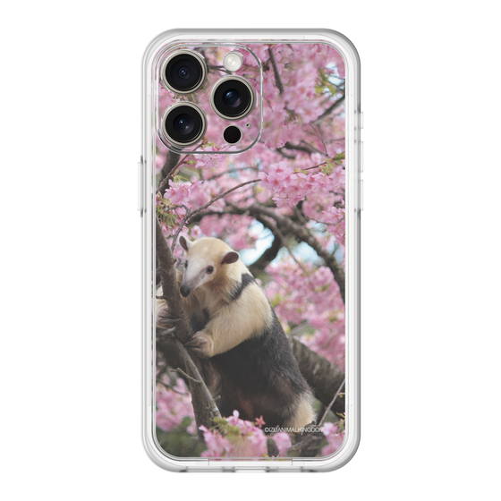 Slim Protection Premium Case［ The Izu Animal Kingdom - Anteater ］