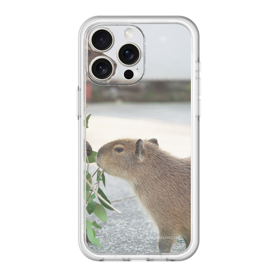 Slim Protection Premium Case［ The Izu Animal Kingdom - Capybara ］