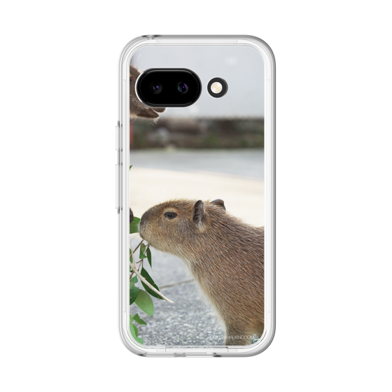 Slim Protection Premium Case［ The Izu Animal Kingdom - Capybara ］