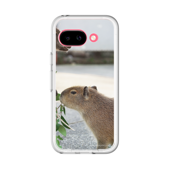 Slim Protection Premium Case［ The Izu Animal Kingdom - Capybara ］