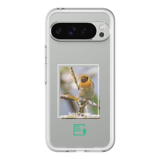 Slim Protection Premium Case［ Green Future Project - Guira Tanager ］