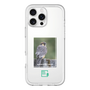 Slim Protection Premium Case［ Green Future Project - Aplomado Falcon ］