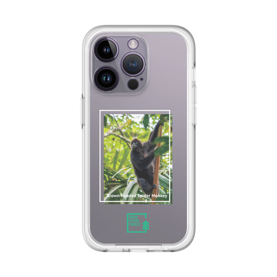 Slim Protection Premium Case［ Green Future Project - Brown-headed Spider Monkey ］