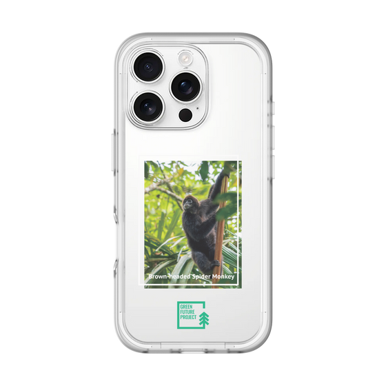 Slim Protection Premium Case［ Green Future Project - Brown-headed Spider Monkey ］