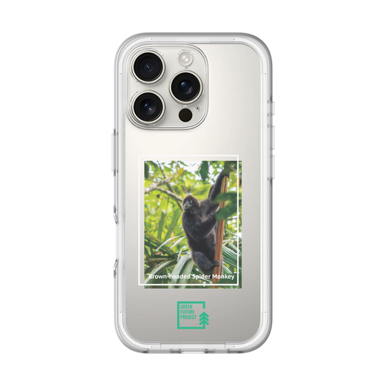 Slim Protection Premium Case［ Green Future Project - Brown-headed Spider Monkey ］