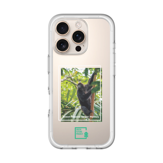 Slim Protection Premium Case［ Green Future Project - Brown-headed Spider Monkey ］