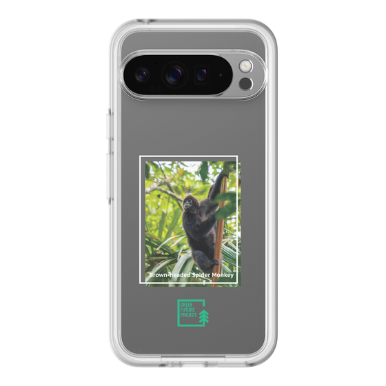 Slim Protection Premium Case［ Green Future Project - Brown-headed Spider Monkey ］